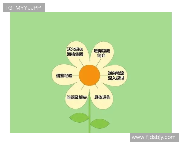 跨项目运动员成功转型案例分析及其背后秘诀探讨
